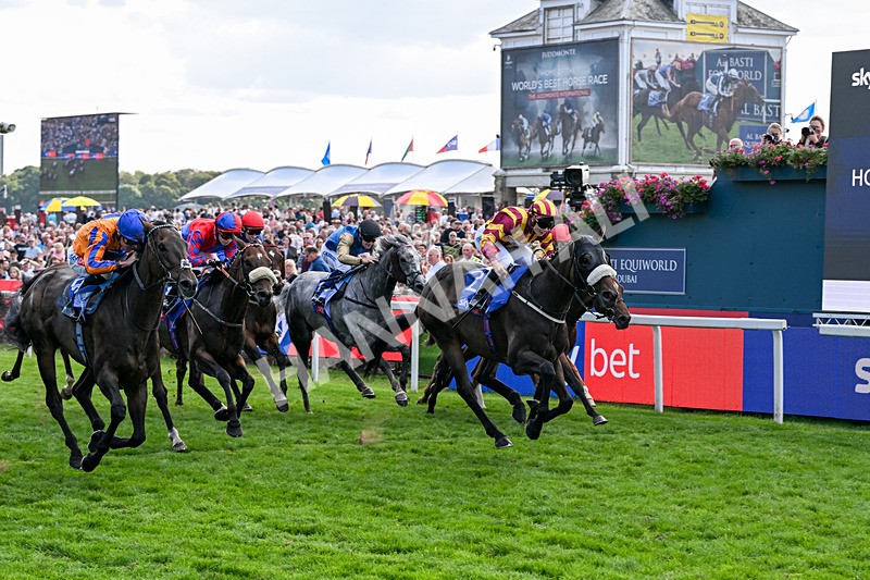 220826-Race 5-Sondad-1101 - Race 5 16.10pm Sky Bet Constantine Handicap