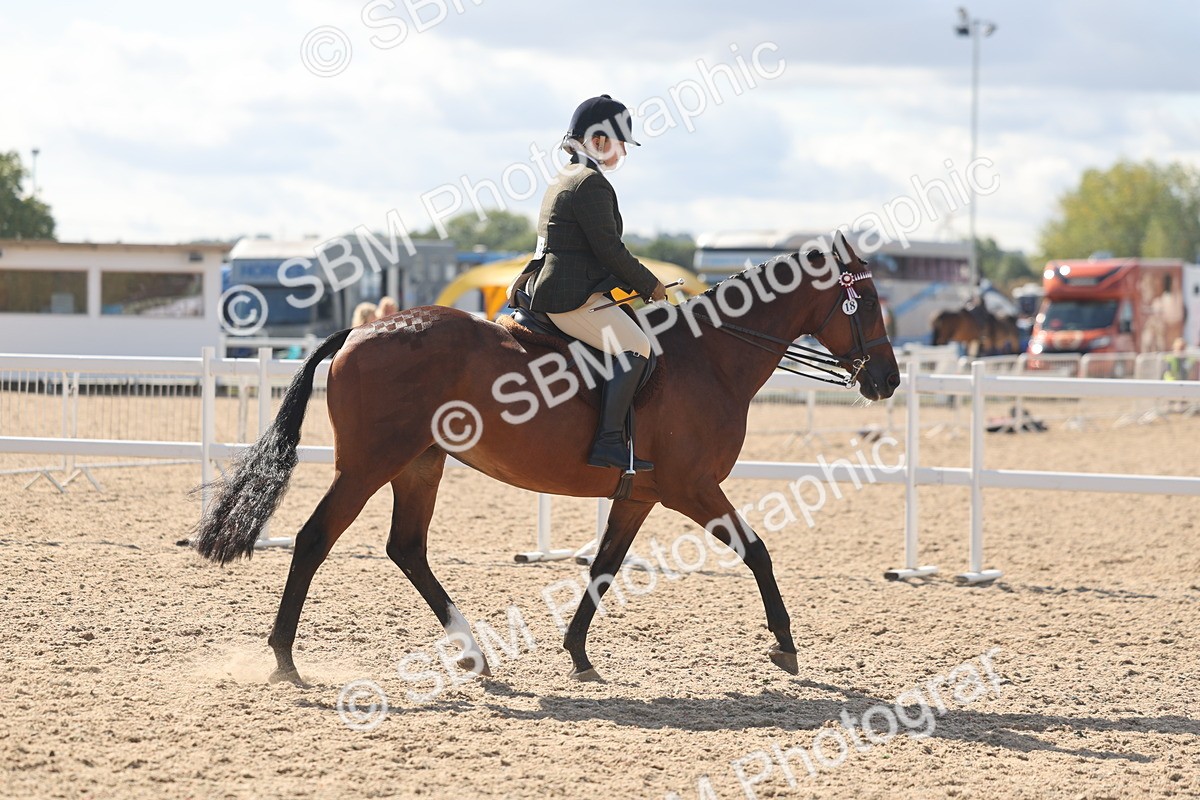 SBM_13163 - Class 306 - Ridden Foreign Breds - Part Bred