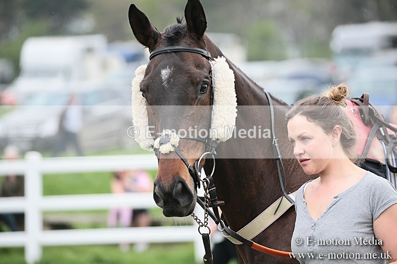 PtP 210418 135 - South & West Wilts Point-to-Point Larkhill 21/04/18