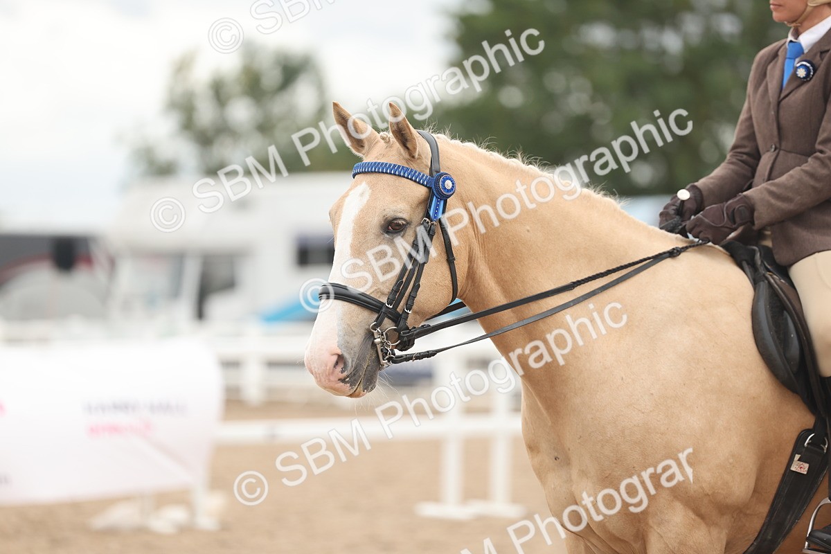 SBM_18193 - Class 315 - Best Horse-Rider Combination
