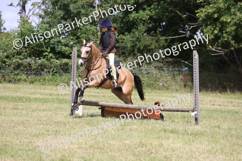 20260614-1895 - Class 21 - Novice Working Hunter Pony