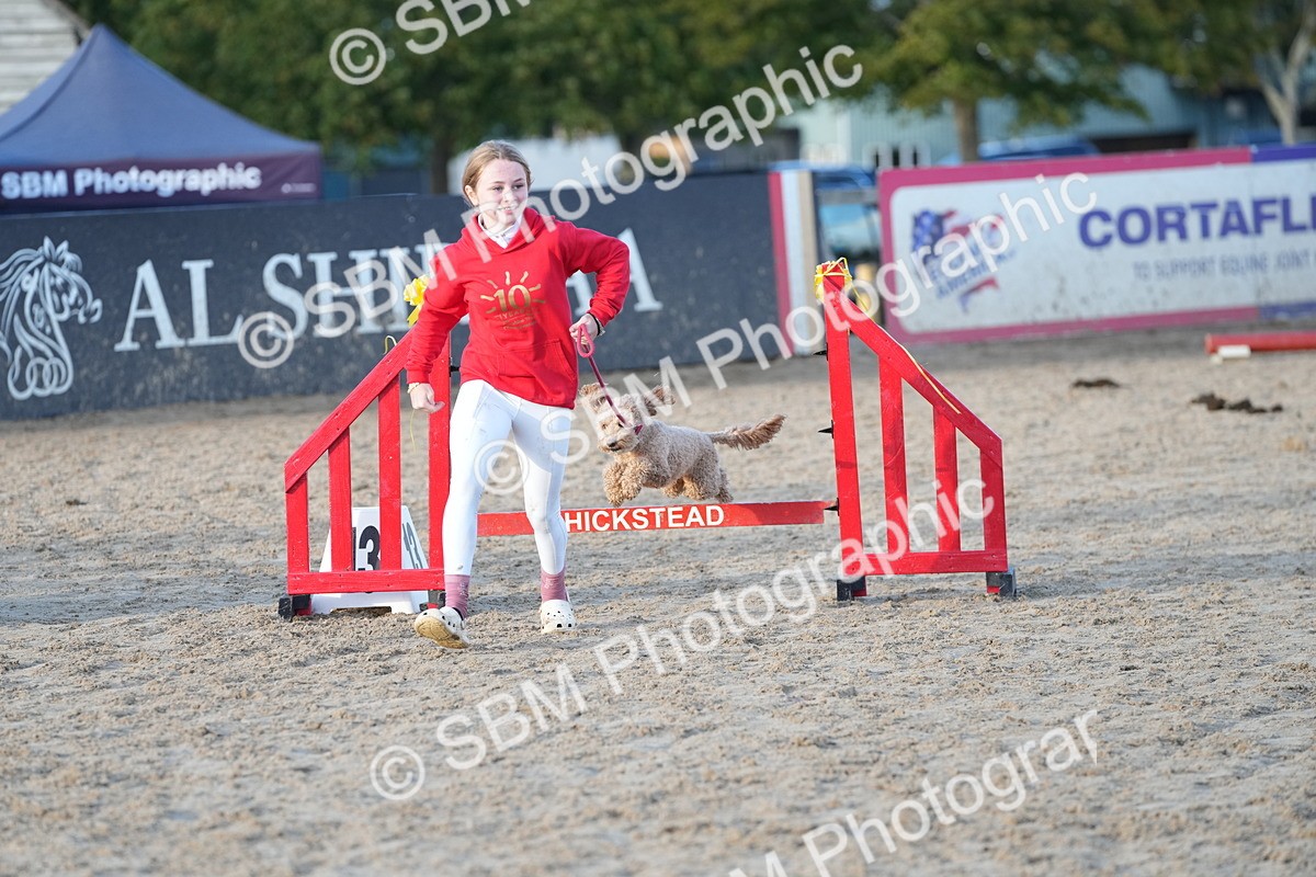 SBM_29485 - J44 - Horse & Hound Open 70cm