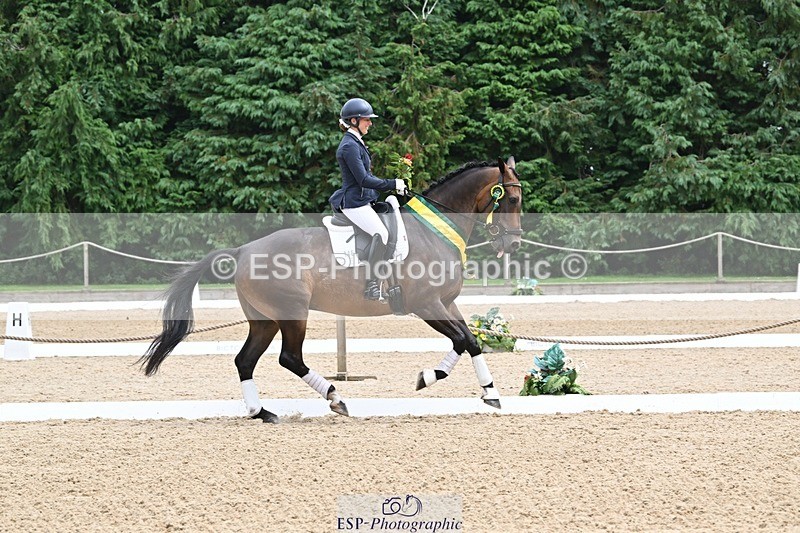 240811-132413-05941 - Medium Silver