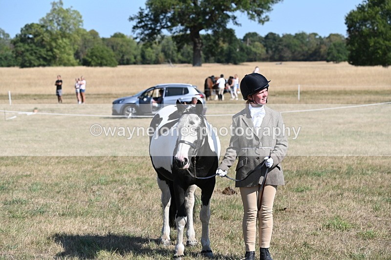 WJ6_7582 - Class 34 Judges Choice