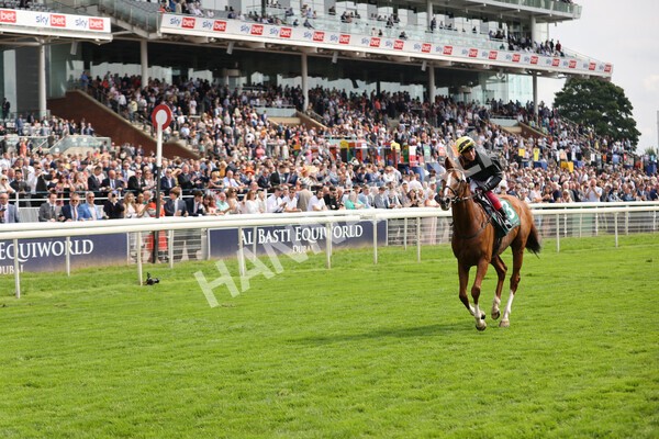 yr20082021r2-70 - Race 2 2.25pm Weatherbys Hamilton Lonsdale Cup (British Champion Series race)