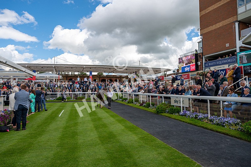 120626-Race 2-Everatease-0928 - Race 2 14.25pm Constant Security Keeping York Racegoers Safe Rous Selling Stakes
