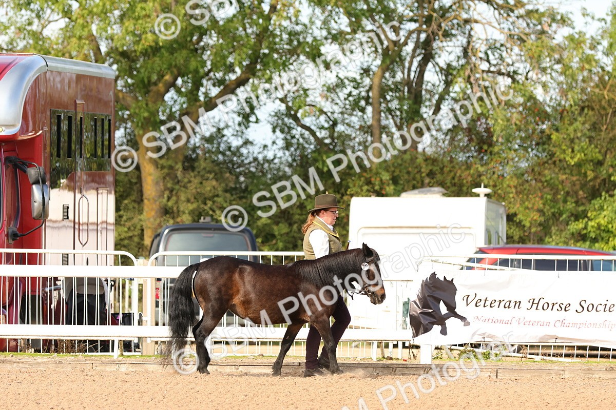 SBM_17982 - Class 707 - IH Groom - Helpers Glass