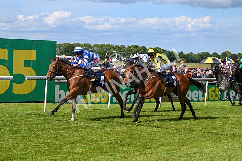 080624-Race 7-This Years Love-2058 - Race 7