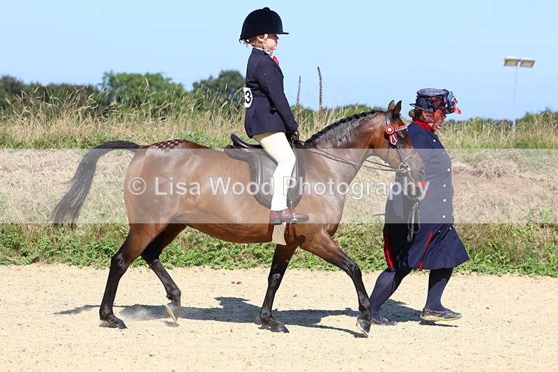 3E7A8022 - Class 15: Lead Rein