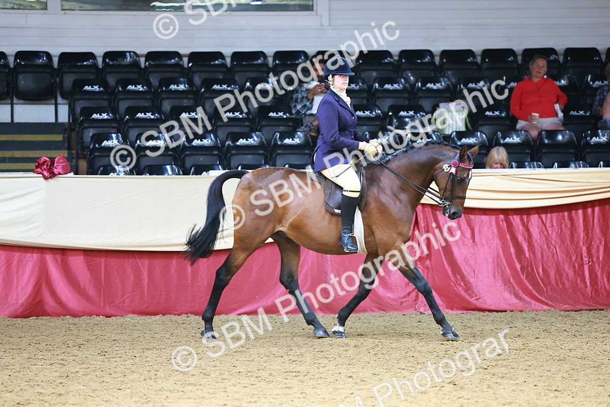 SBM_23753 - Class 905 - Supreme Final - Ridden Veteran