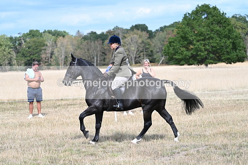 WJ7_6156 - Class 13 Ridden Veterans
