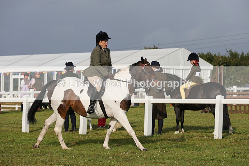 1X9A2853 - Class 25: Ridden Plaited Coloured Horse
