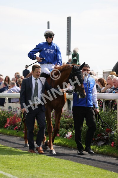 yr18082021r3-40 - Race 3 3.00pm Sky Bet Great Voltigeur Stakes