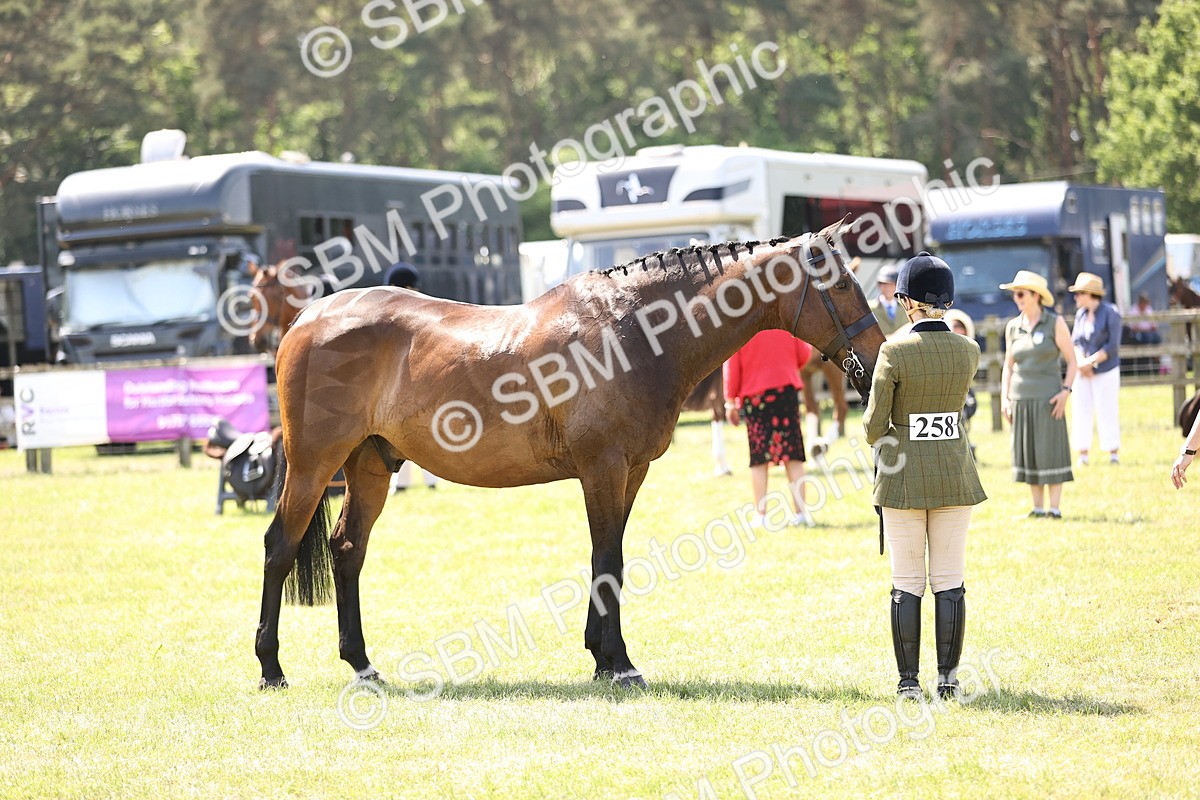 SBM_15194 - Class 79-80 - LIHS BSHA Rising Star Ridden Hunter