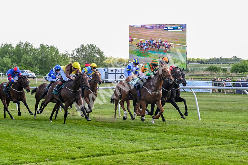 120525-Race 5-Irish Dancer-8816 - Race 5