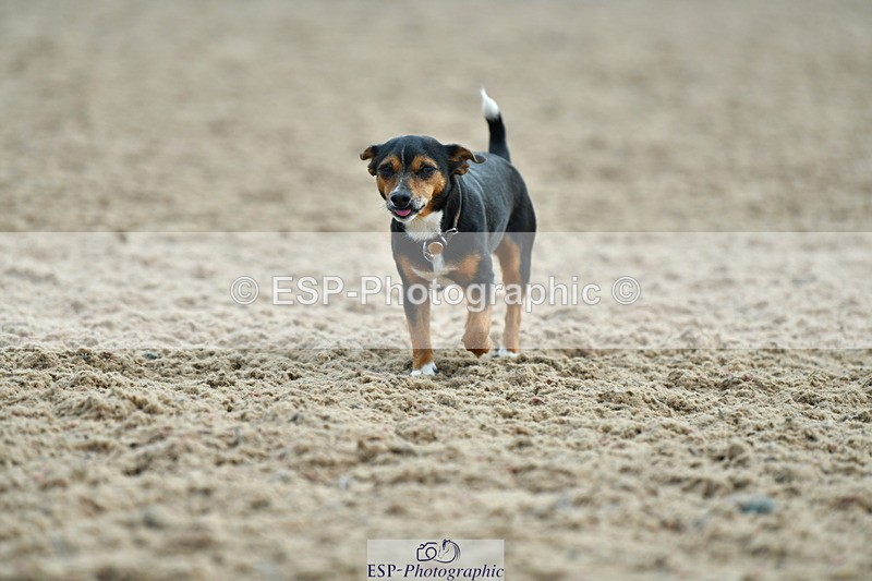 230609A-174302-01935 - Jolly Jumps Ride and Run