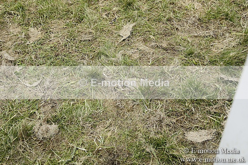 PtP 180218 958 - Combined Services Point-to-Point Larkhill 18/02/18