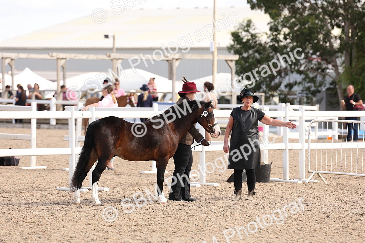 SBM_15025 - Class 209 - IH Veteran Pony