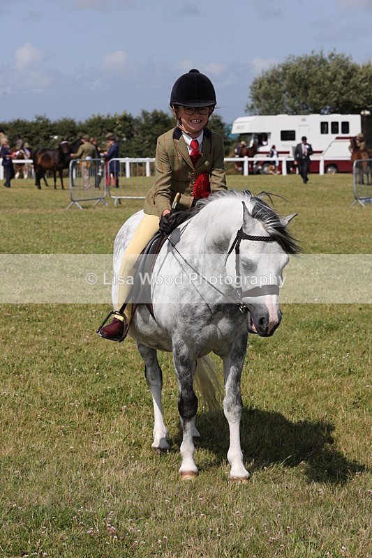 1X9A5447 - Class 37: NPS M&M First Ridden