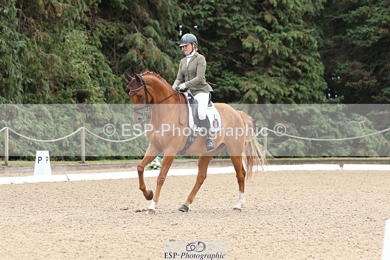 250809A-111024-03104 - 143-Amy.SchiesslSerenity