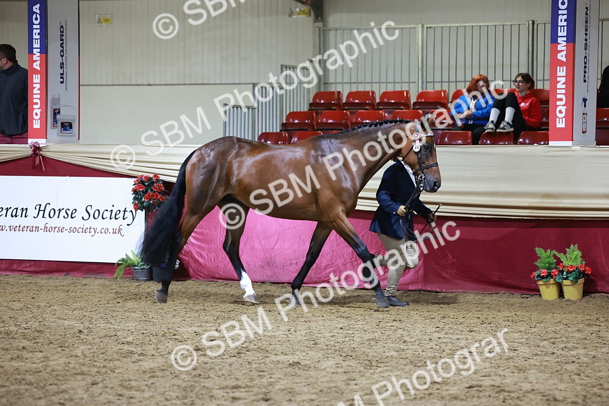 SBM_21520 - Class V - Champion of Champions