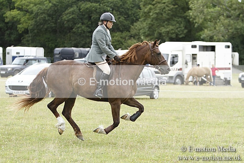 BVR160717-969 - Ring 3 BVRC Show 16/07/17