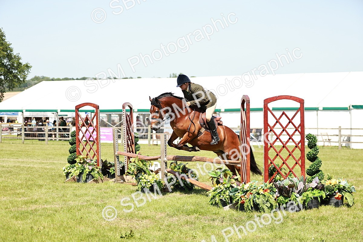 SBM_17354 - Class 110-111 - Training Stakes (70cms 80cms)