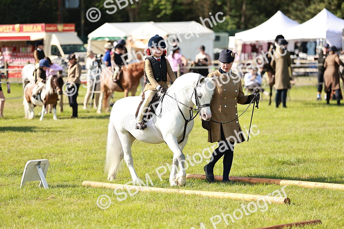 SBM_11294 - Class 106-107 - BSPS LIHS Working Sports Pony
