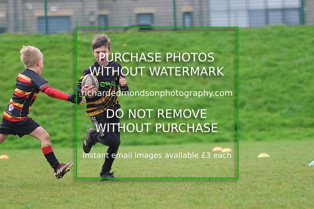 533A5622 - Kendal Rugby Mini & Youth (Sunday 12/4/26)