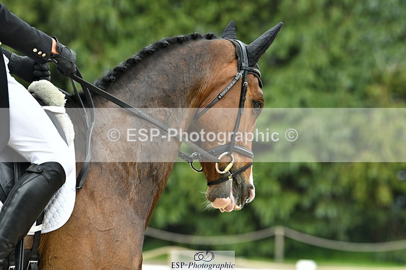 230525-152023-04604 - 426-REHY_REVELATION-Jack_Pinkney-DR