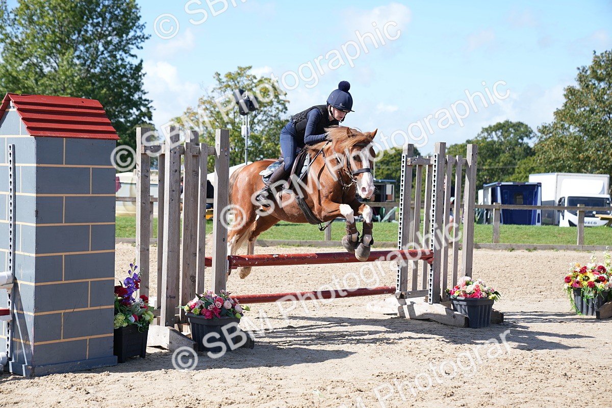 SBM_05006 - J56 - Clear Round 70cm