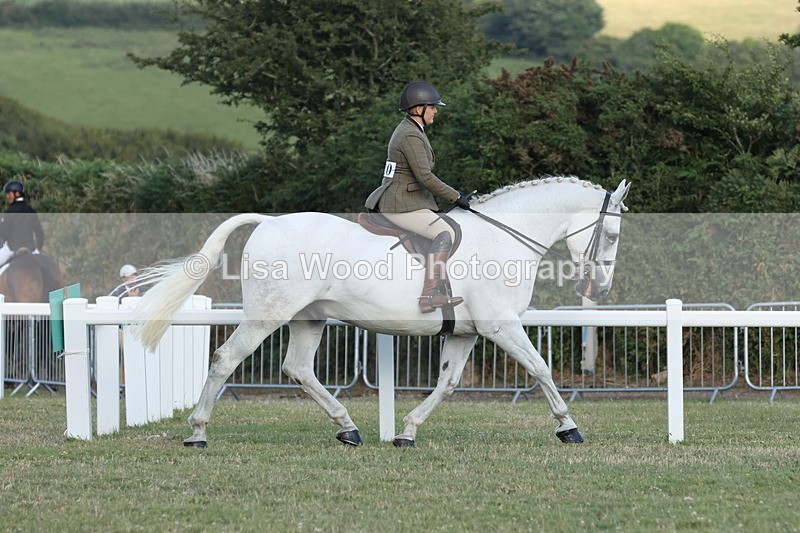 JPP_3511 - Class 22: Working Hunter 90cm