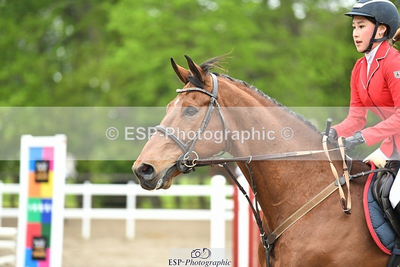 230512-094318-00375 - Cls 10 Snr 85cm Schooling