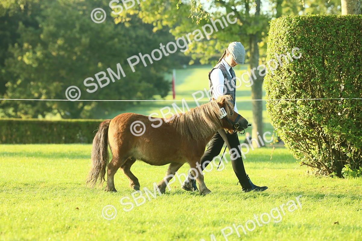 SBM_57278 - S37 - Starters In Hand Showing