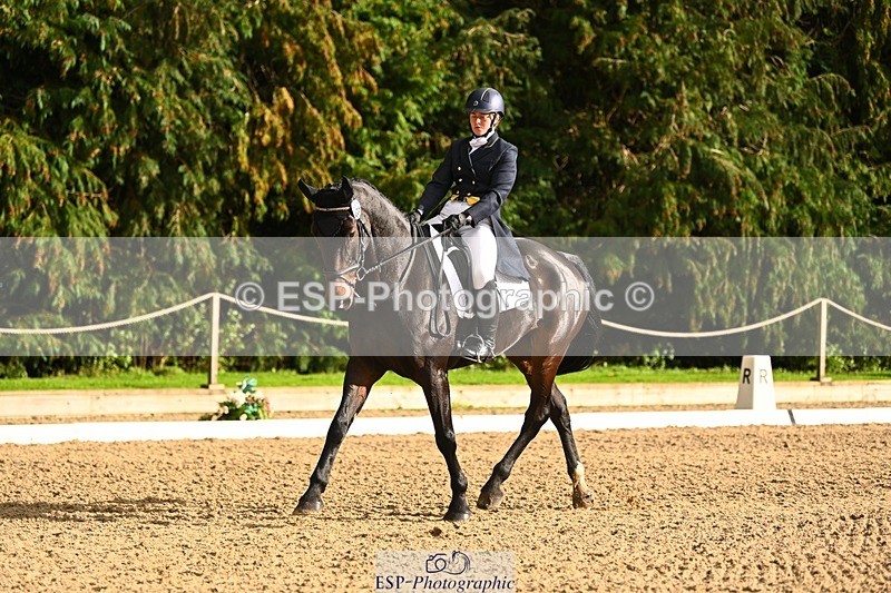 231021-153152-20879 - 259-BOSTON.IV-Rosie.Thomson-DR