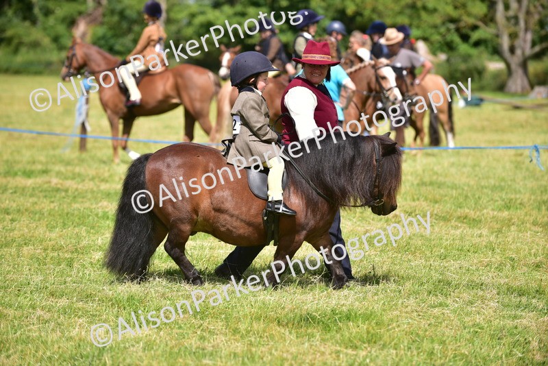 20260614-1159 - Class 11a - Lead Rein Pony (Unplaited)