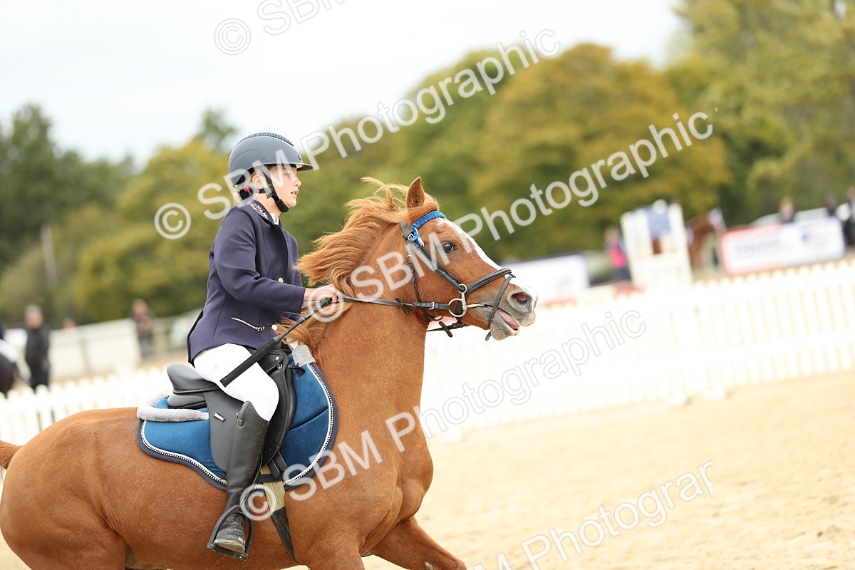 SBM_65684 - J48 - Pairs Jumping Open 70cm & 85cm