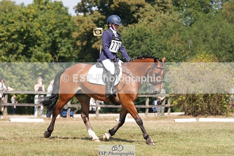 250823A-120732-29267 - Arena A