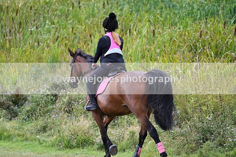 WJ7_6073 - Time 11:50 to 12:09