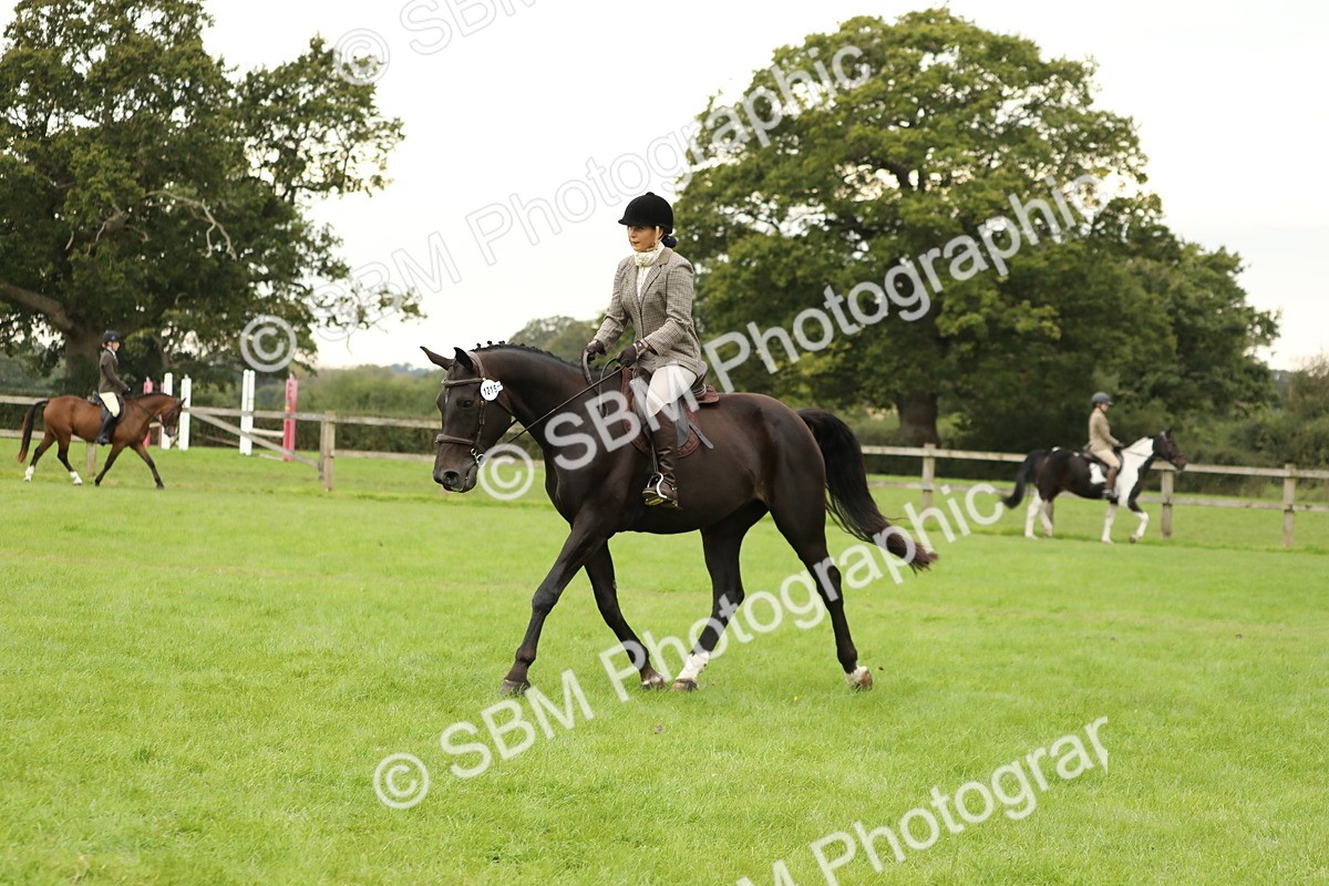 SBM_73700 - S41 - Ridden Equitation (Best Rider)