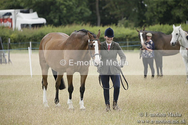 B230619-0540 - Bourne Valley Riding Club Summer Show 23/06/19