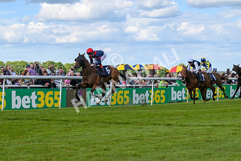 080624-Race 6-Walter Hartright-1719