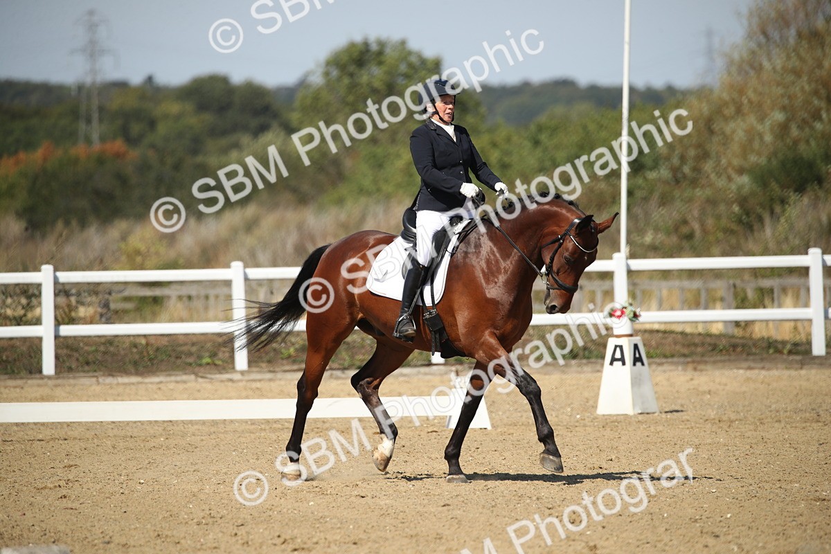 SBM_005000 - Class 11 - Novice 5 - 11.41-12.58