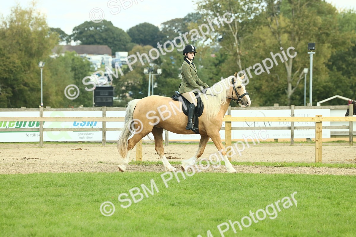 SBM_62639 - S63 - Other Coloured Horse Ridden