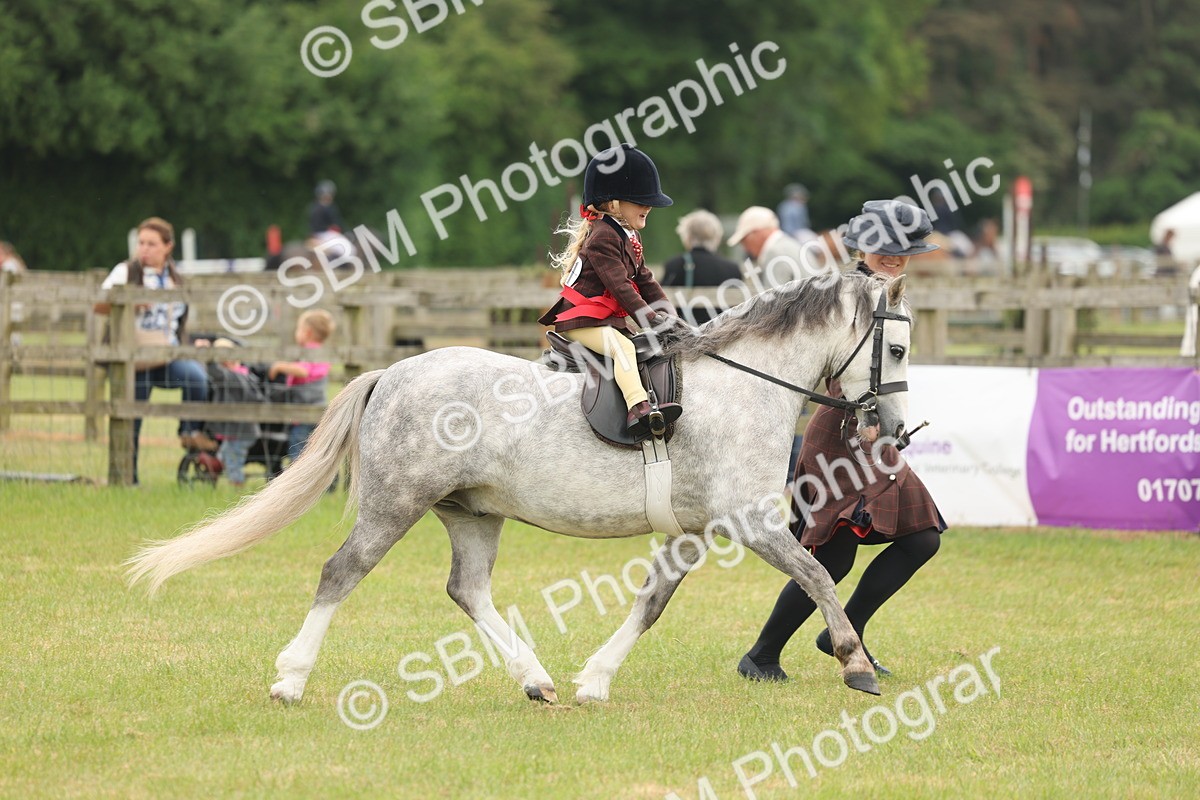 SBM_06932 - Class 74-75 - M&M Lead Rein and First Ridden Pony