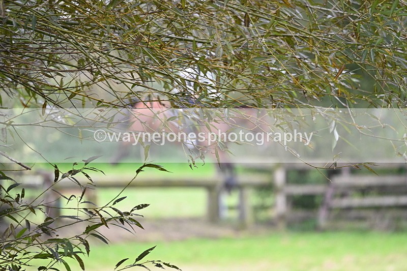 WJ6_7888 - Time at Photographer 13:49 to 14:15