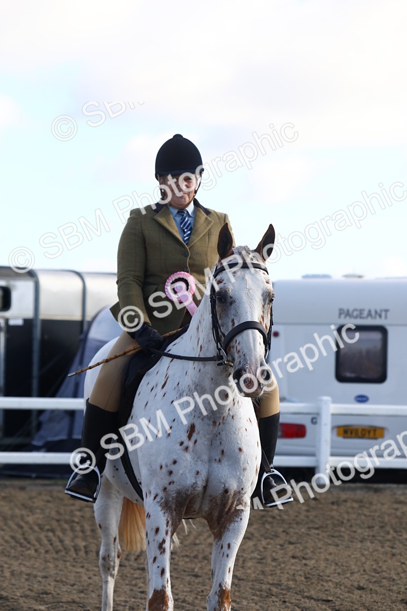 SBM_08608 - Class 502 - Riding Club Horse