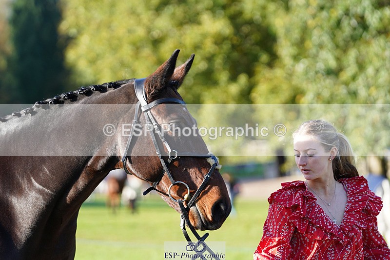 241026-100718-11625 - 018-Alice.Robinson-DERRYS.DIAMOND.CAVALIER