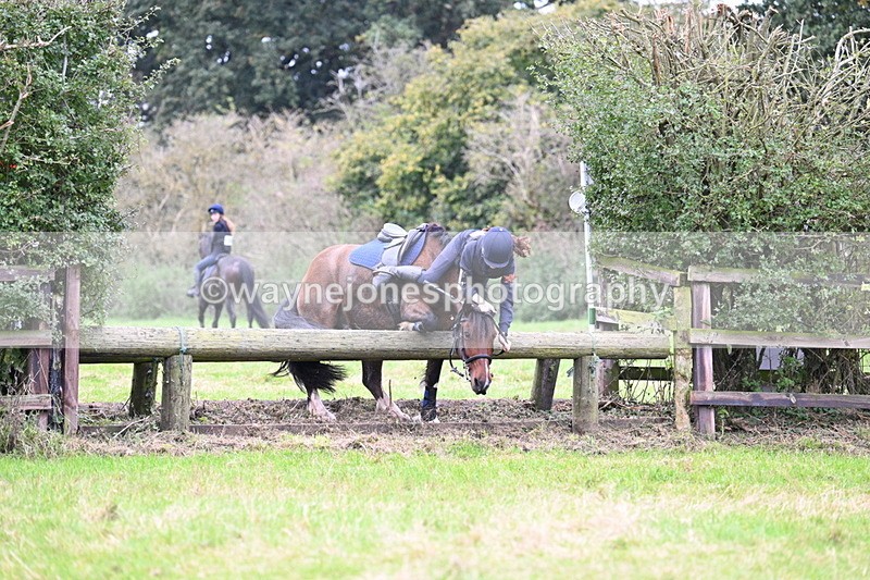 WJ7_1991 - Time at Photographer 13:27 to 14:14