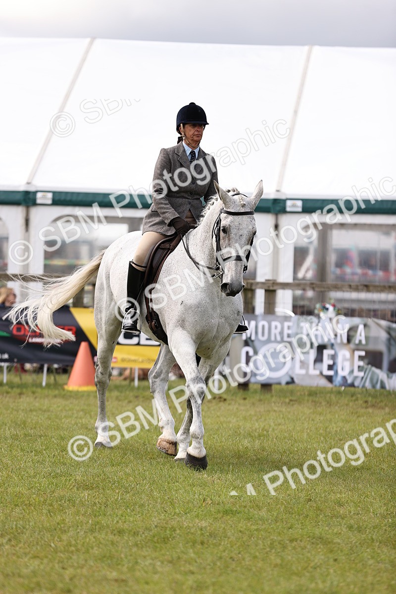 SBM_14693 - Class 88-89 - LIHS BSHA Rising Star of Ridden Hunter Type